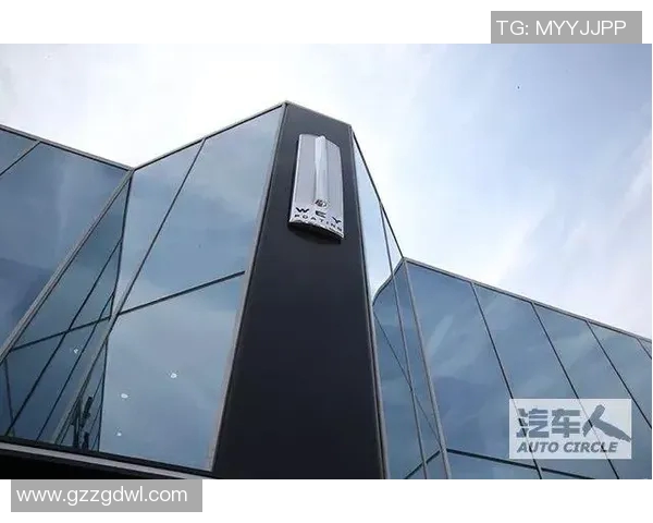 深度分析WE的运营策略与市场表现的成功之道