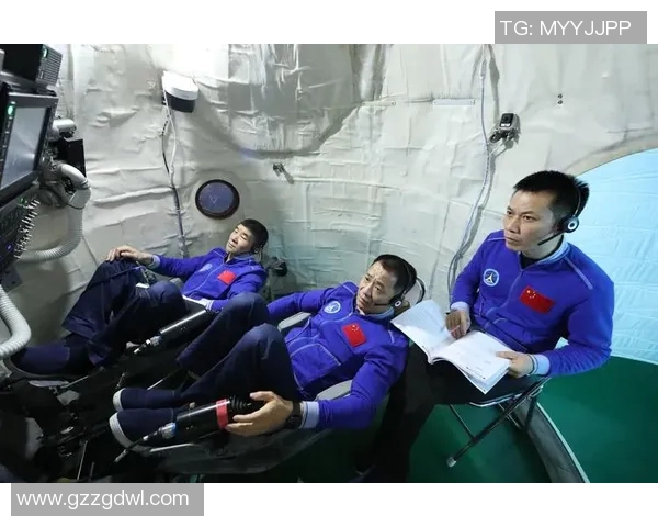 陈丽专访:探寻足球成功背后的秘诀与故事 陈丽专访:探寻足球成功背后的秘诀与故事