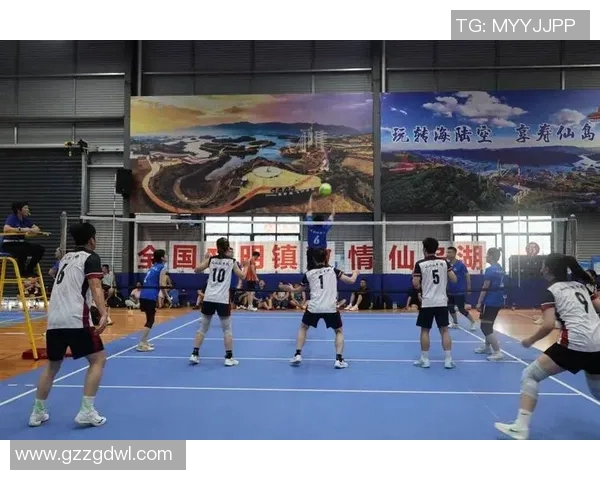 重庆排球队团队协作引发热议球员间默契与配合的真实考验 重庆排球队团队协作引发热议球员间默契与配合的真实考验