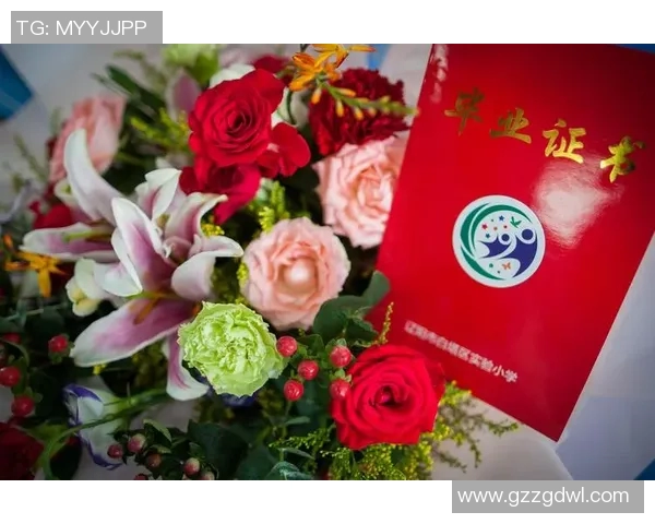 与杨丽畅谈篮球生涯的点滴与成长之路