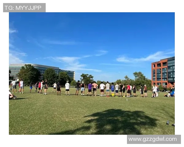 吴强独家分享飞盘技巧与心得体会助你提升飞盘水平的全面指南