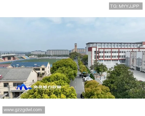 南京羽毛球队状态分析：聚焦训练成果与比赛表现的全面探讨