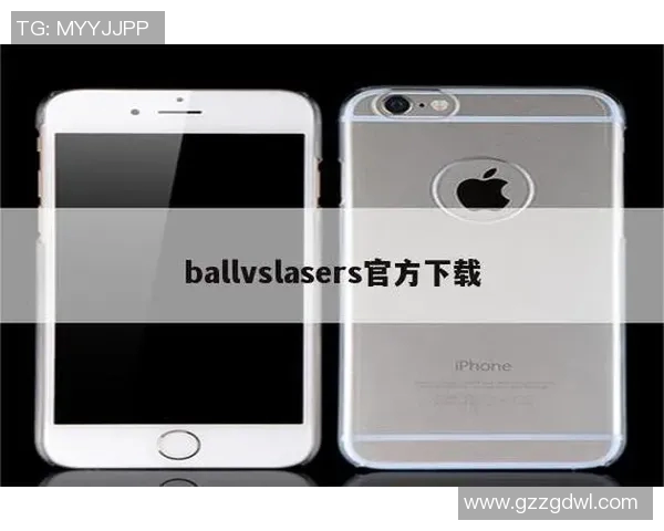 如何鉴定vs1441的真伪与质量标准详细指南