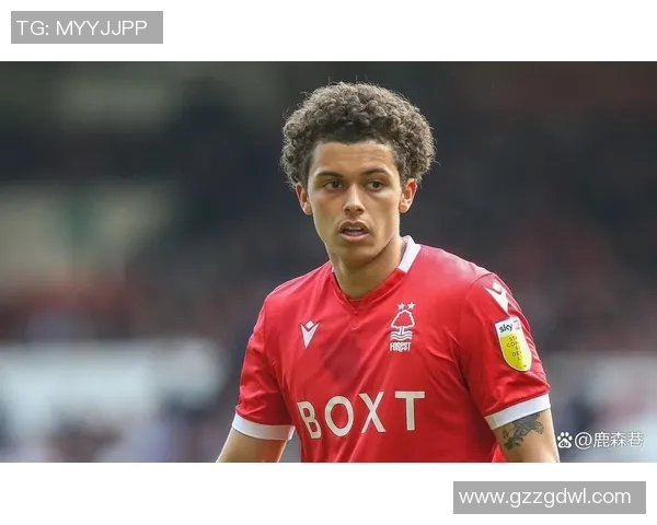 巴恩斯利与哈德斯菲尔德对决前瞻分析及胜负预测