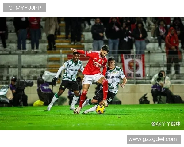 本菲卡与巴赛尔激战正酣谁能在欧战中笑到最后 本菲卡与巴赛尔激战正酣谁能在欧战中笑到最后