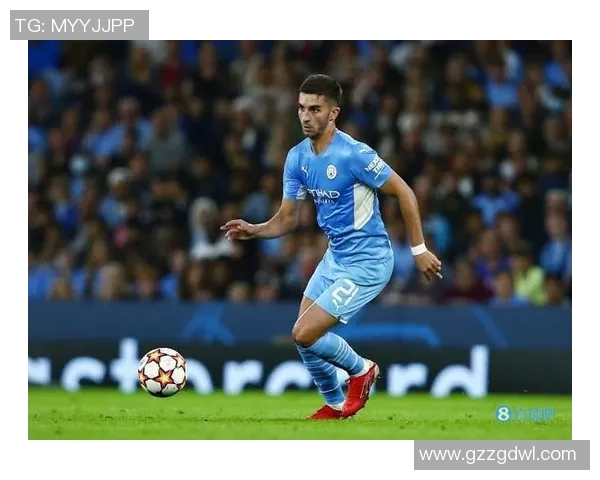 费兰托雷斯：从青涩小将到世界足球舞台的璀璨明星之路