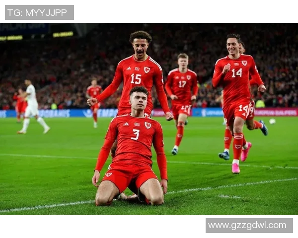 中国与威尔士足球对决投注分析及预测指南 中国与威尔士足球对决投注分析及预测指南