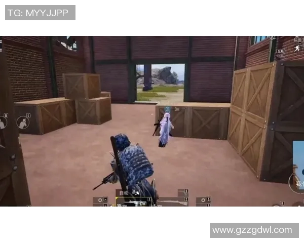 和平精英新手必看攻略:全面解析配合技巧与入门策略 和平精英新手必看攻略:全面解析配合技巧与入门策略