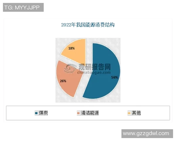 数据分析揭示LNG在全球能源转型中的关键作用与未来发展潜力