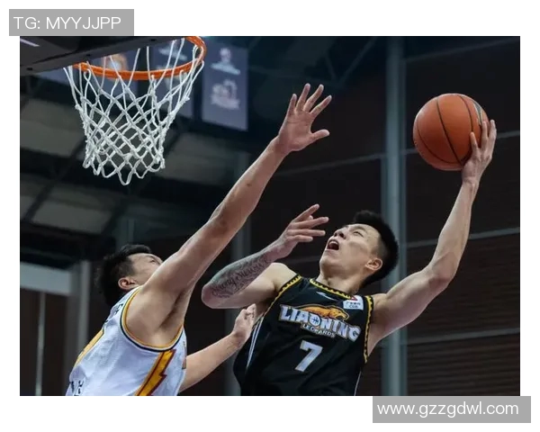 福建对阵辽宁精彩直播视频全程回顾与赛后分析