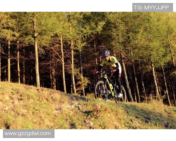 广州极限运动队运营分析与发展策略探讨